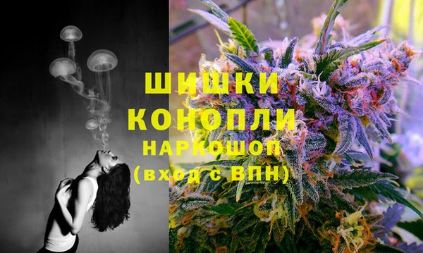 PSILOCYBIN Алексеевка